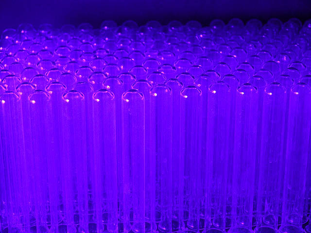 tubes-a-essais-biochimie-plantes