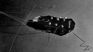 3397239638_8e727f2114