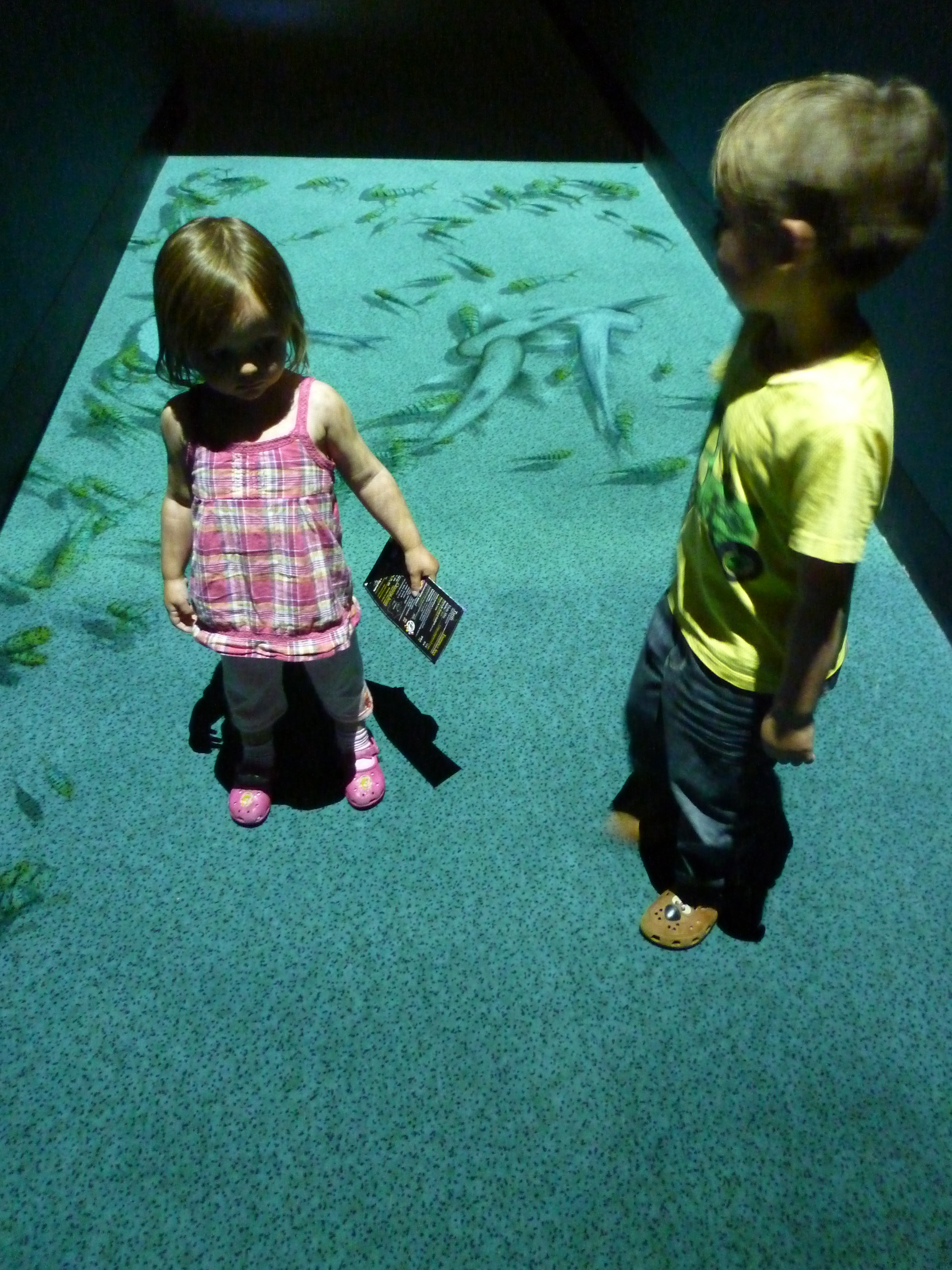 4011627854_3d2f0c31cf_o