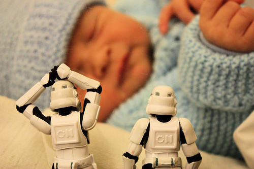 New Life Form Sighted by Stéfan