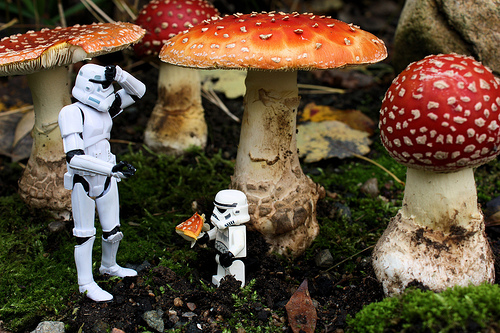 The Alice in Wonderland Syndrome by Stéfan