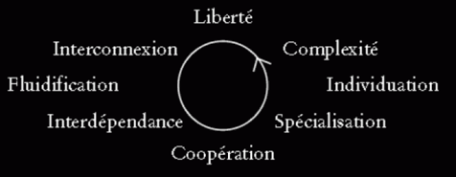 cercle-vertueux-interdependance