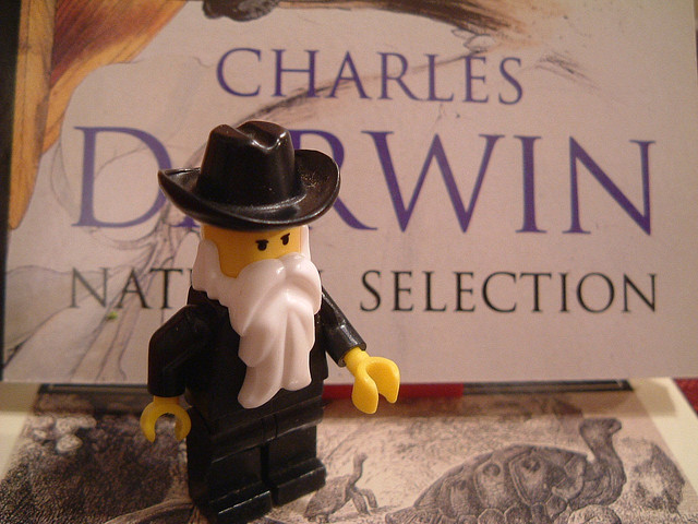 Darwin lego