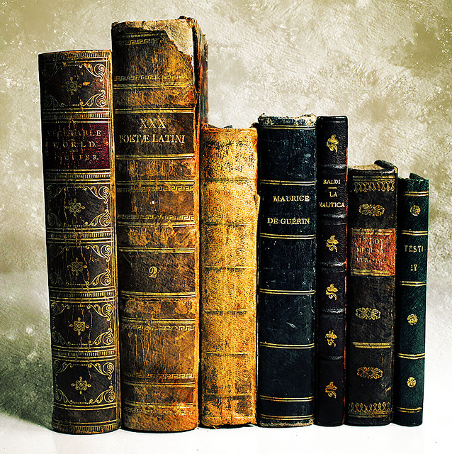 2990745039_903e302744_z