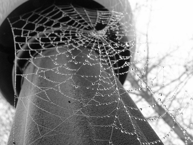 web_réseau_toile_liens