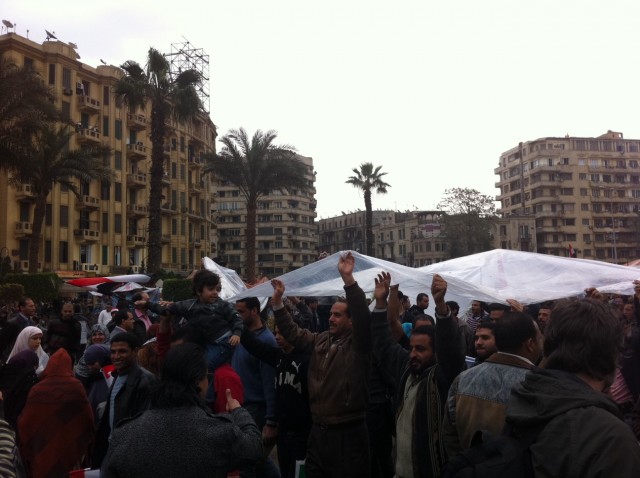bache tahrir