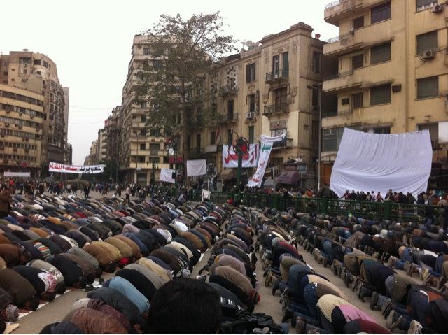 tahrir damien2