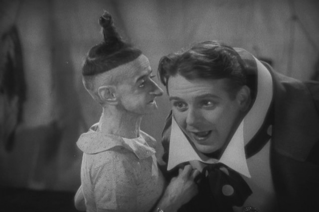 5043927780_7fc8f62143_b