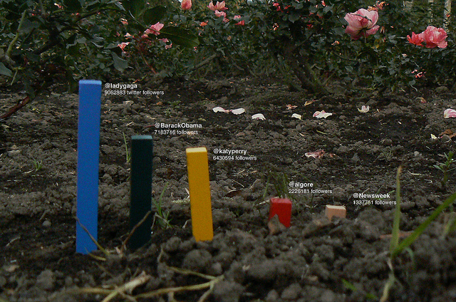 compte twitter populaires par Jose Duarte