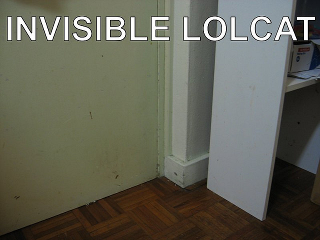invisible lolcat