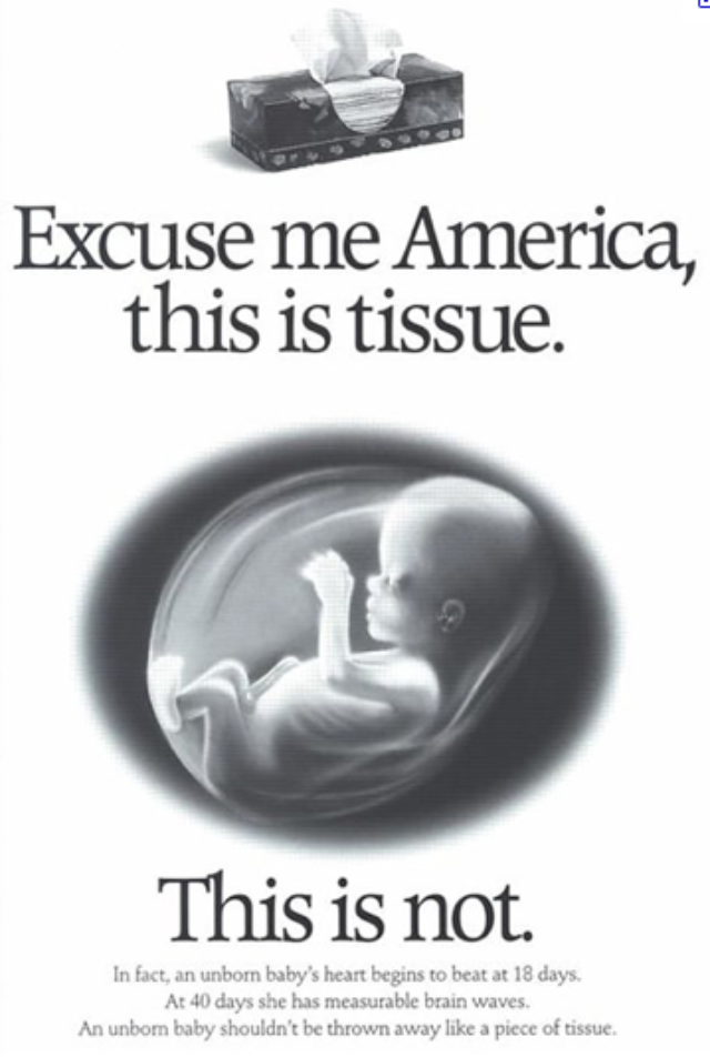 excuse_me_america_pro_life