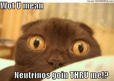 chat_lolcat_neutrino