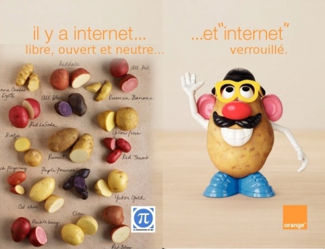 patates_orange_lqdn_internet