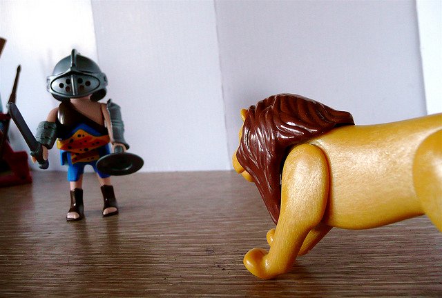 4139995171_a74059ca64_z