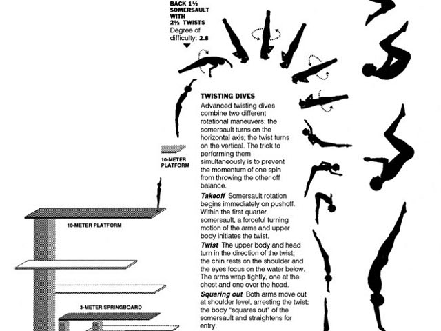 Infographies par Megan Jaegerman