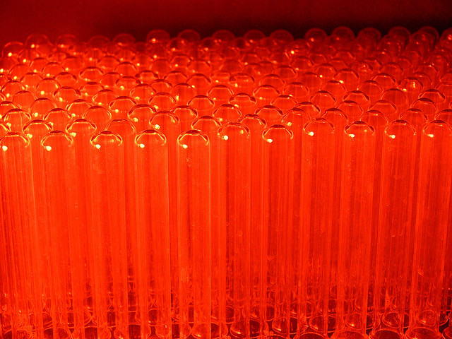 monsanto-desherbant-roundup-640px-4