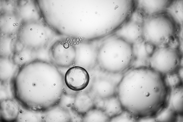 bacteries-genetique-2