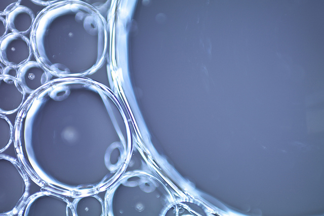 bacteries-genetique-3