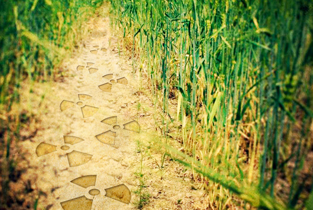 cle_nucleaire_terre-dechets-cigeo-bures-cc-owni-marion-boucharlat