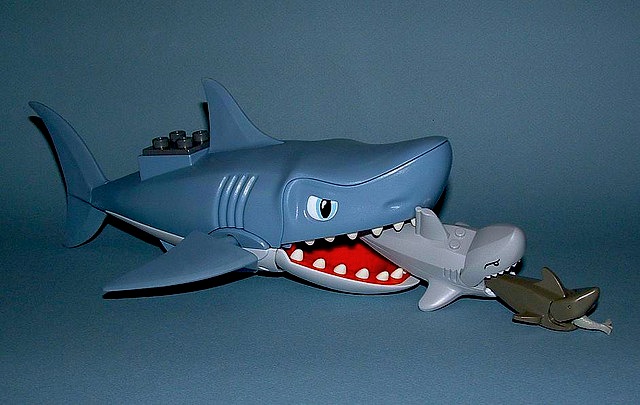 securite-privee-police-etat-agents-cnaps-5