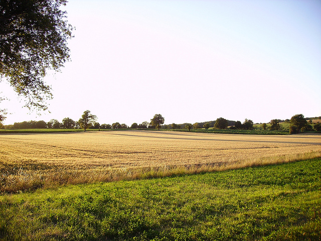 uranium_bourges_article