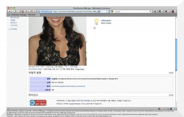 Chronique OWNI Art Libre 00