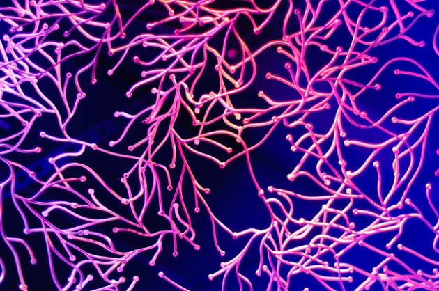 clef-drogue-numerique-ondes-i-doser-cerveau-concentration-2