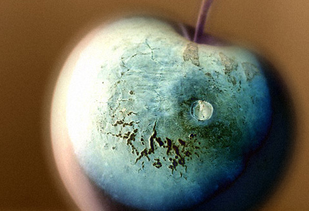 clef-arcep-telecom-qualite-service