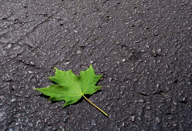 clef-canada-legislation-environnement-loi-ecologie