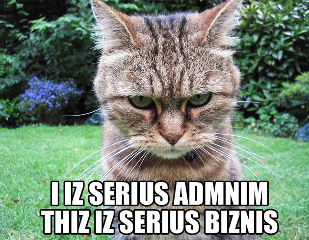 lolcat
