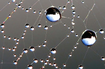 Web 3.0: donner du sens aux données (vidéo)