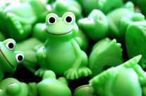 L’école du journaliste-entrepreneur