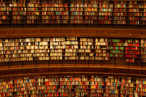 Les enjeux d’une bibliothèque sur le web