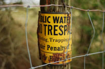 [INTERVIEW] Evgeny Morozov: “WikiLeaks doit se renforcer au niveau politique”