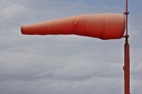 Non à la “curation”