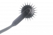 L’évolution par l’exemple: le pénis des mammifères