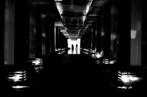 Propriété intellectuelle mutante