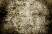 L’école des candidats