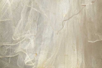 L’Espagne lève le voile de l’information