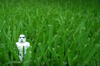 L’Ecoterrorisme débarque en Europe