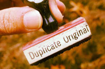 Et si Albrecht Dürer avait eu un Tumblr ?