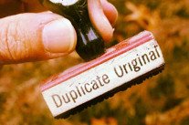 Et si Albrecht Dürer avait eu un Tumblr ?