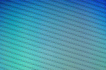 Loueurs professionnels et espions amateurs